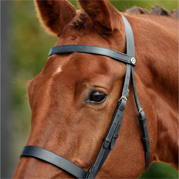 2026 Dublin Flat Cavesson Bridle 1031494 - Black